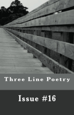 Three Line Poetry Issue #16