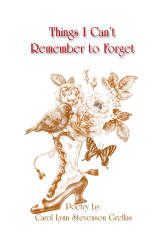 Things I Can't Remember to Forget by Carol Lynn Grellas