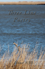 Three Line Poetry Issue #39