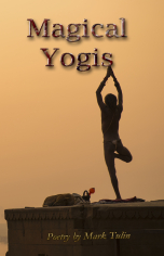 Magical Yogis by Mark Tulin