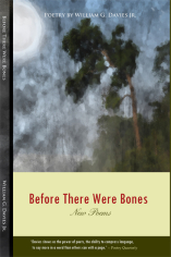 Before There Were Bones by William G. Davies Jr