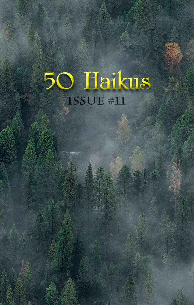 50 Haikus, Issue 11 - Click Image to Close