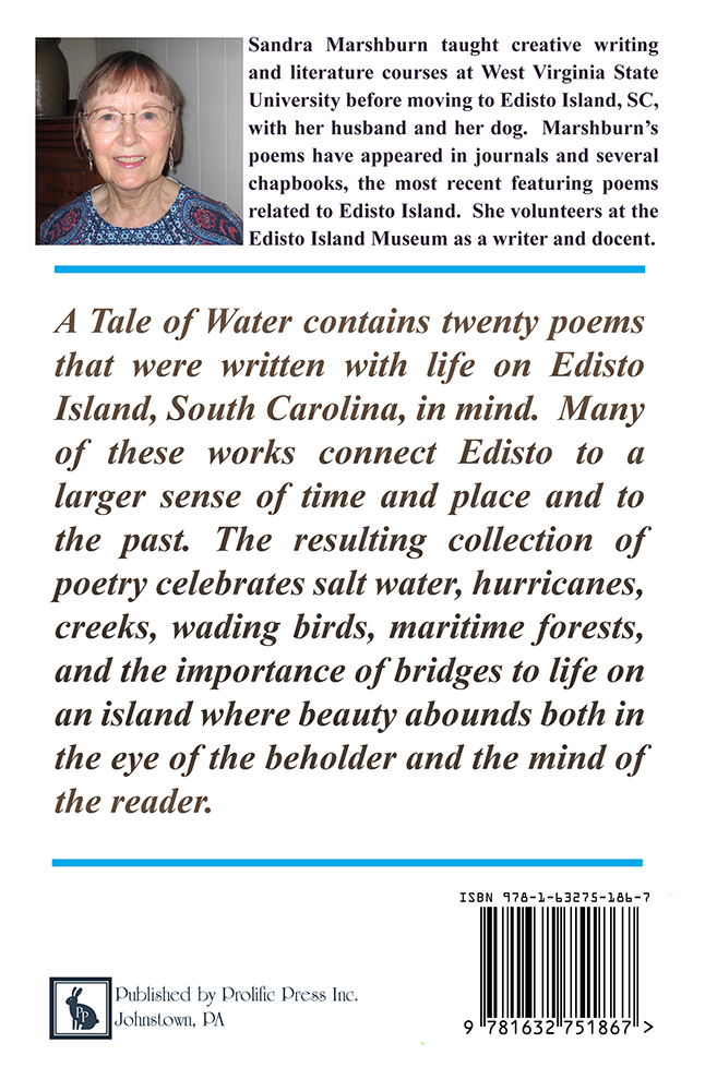 A Tale of Water by Sandra Marshburn - Click Image to Close