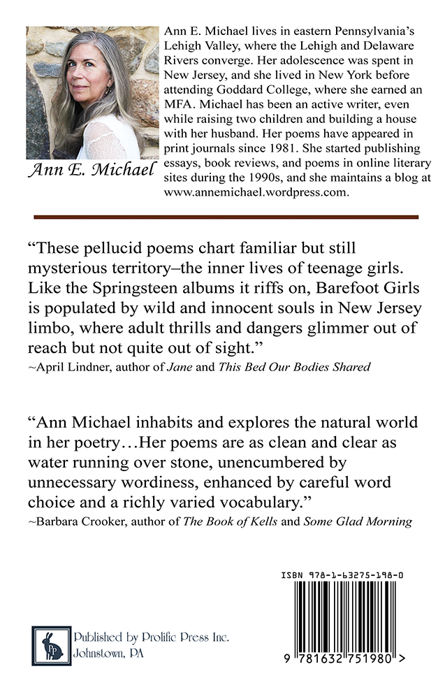 Barefoot Girls by Ann E. Michael - Click Image to Close