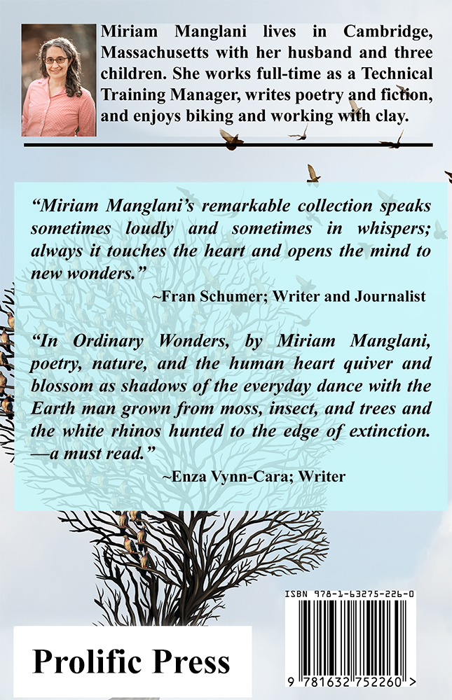 Ordinary Wonders by Miriam Manglani - Click Image to Close