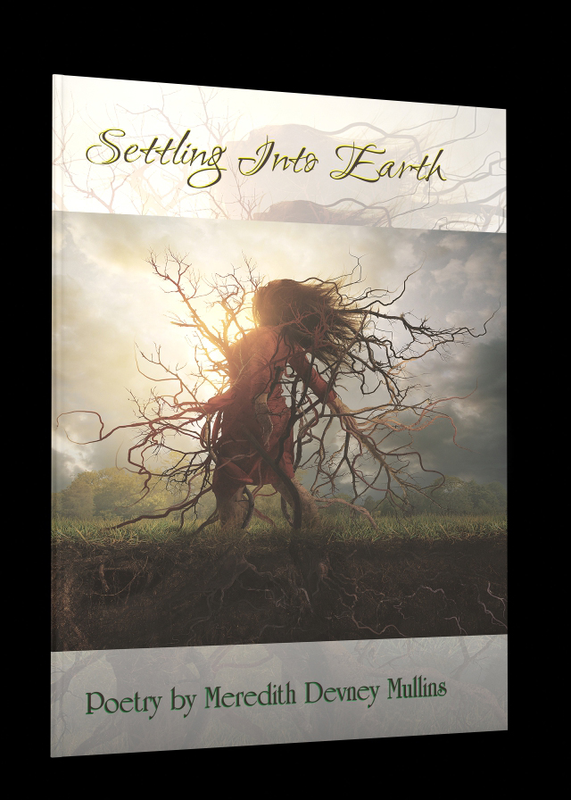 Settling Into Earth by Meredith Devney Mullins - Click Image to Close