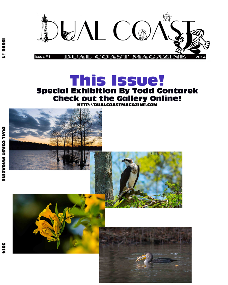 Dual Coast Magazine (Issue #1) - Click Image to Close