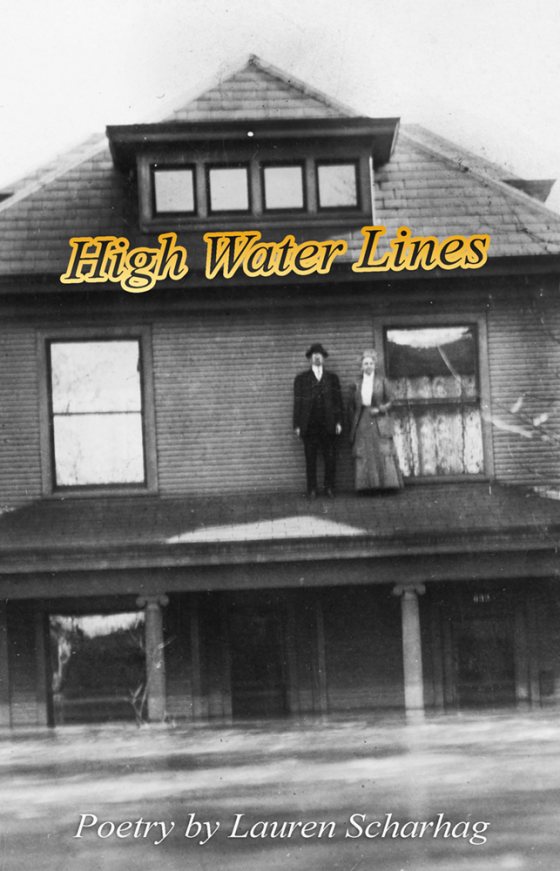 Cover of High Water Lines by Lauren Scharhag