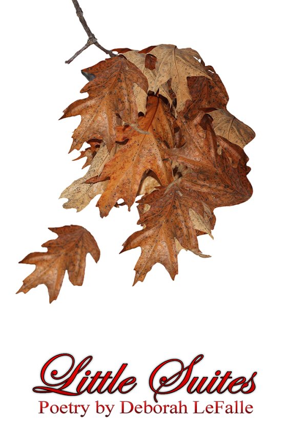 Cover of Little Suites by Deborah LeFalle