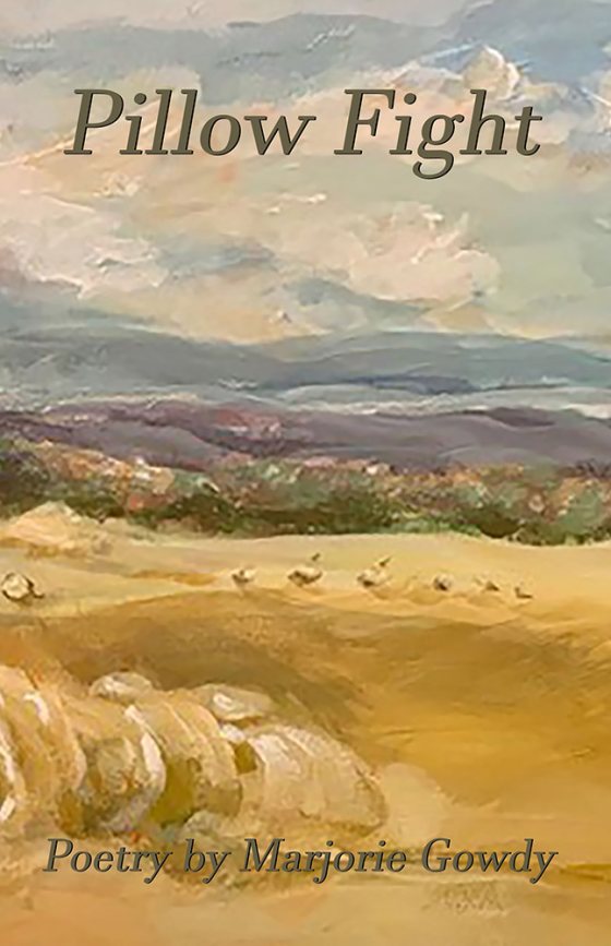 Cover of Pillow Fight by Marjorie Gowdy