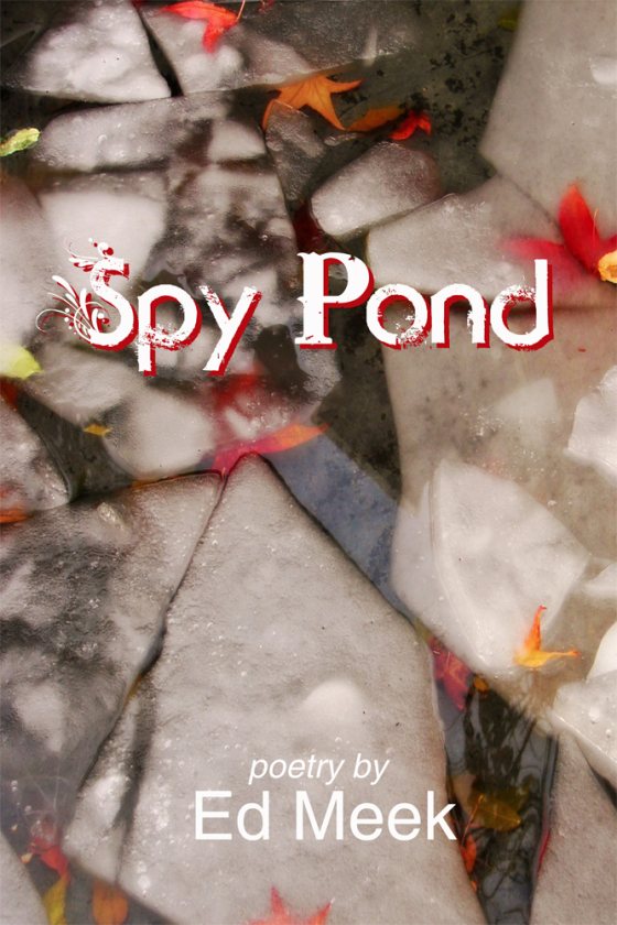 Cover of Spy Pond by Ed Meek